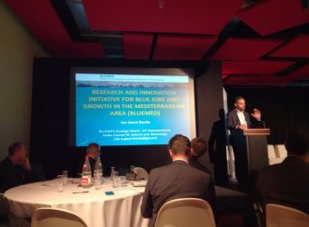 MSP-Bluemed_Presentation
