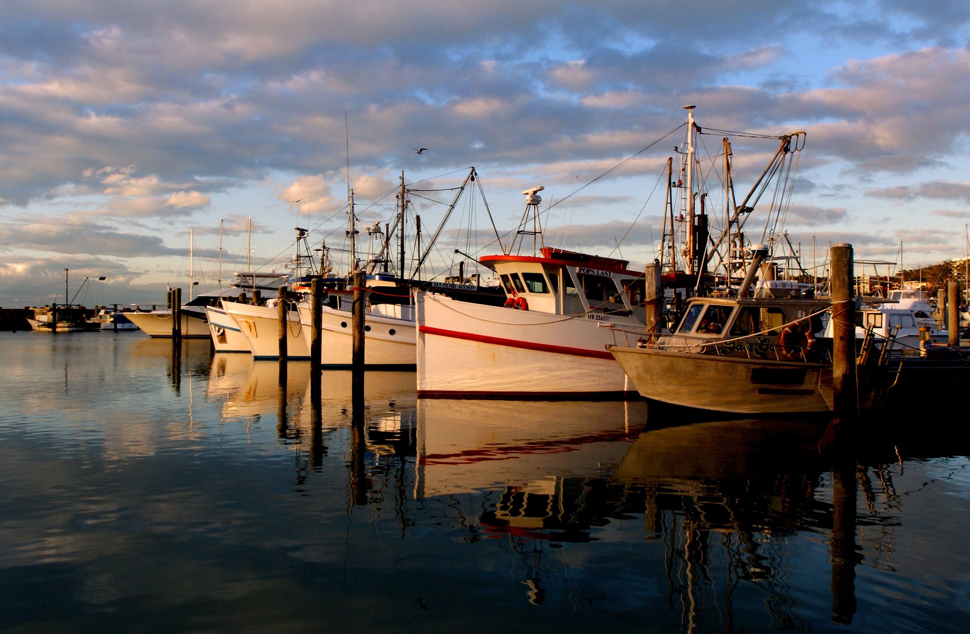 Call for Strategic Start-up Actions on Blue Growth in the Mediterranean