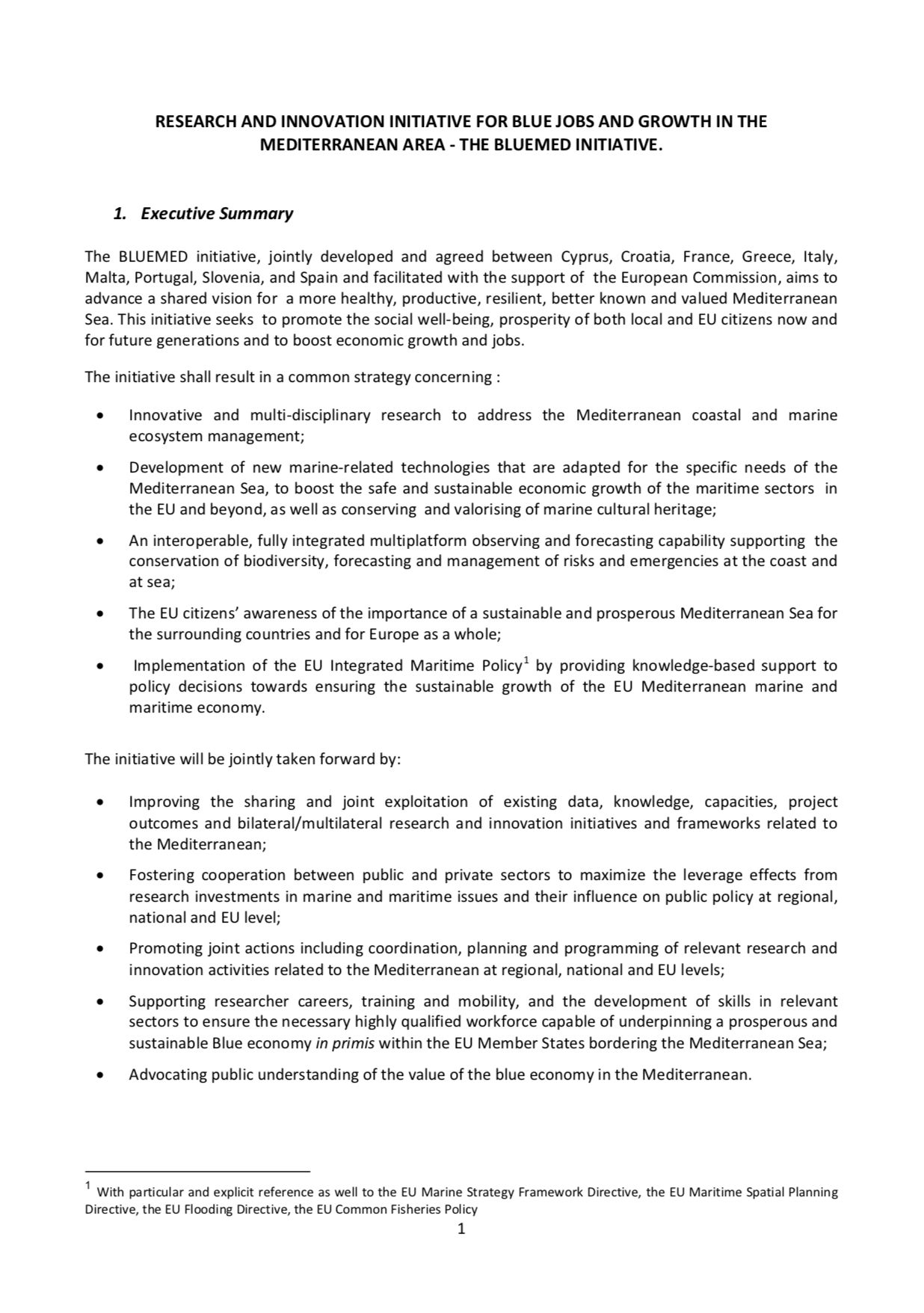 Bluemed Vision Document 5th December 2014