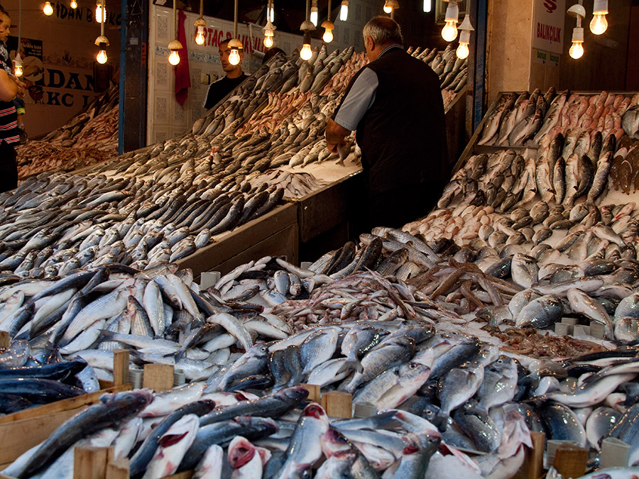 Sea of fish - Fish market in Adana