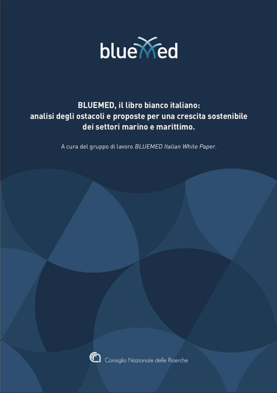 The BlueMed Italian White Paper: an overview of relevance, obstacles and proposals of the key sectors for a Blue Growth January 2019