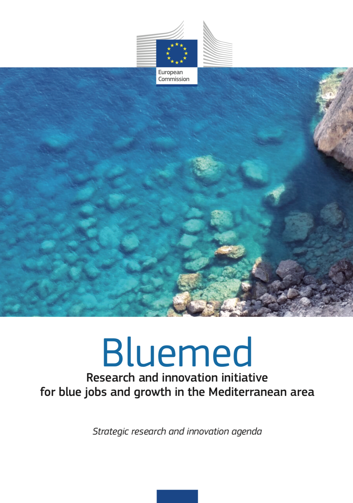 Bluemed SRIA - First Release 16th October 2015