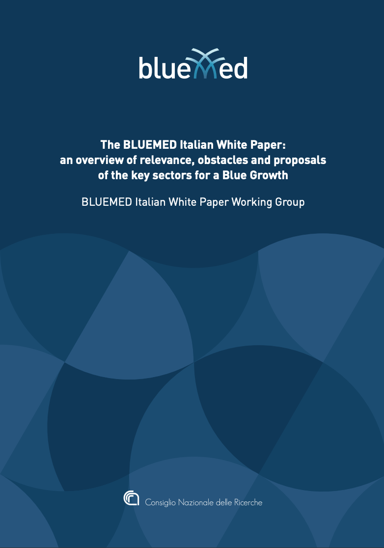 The BlueMed Italian White Paper: an overview of relevance, obstacles and proposals of the key sectors for a Blue Growth January 2019